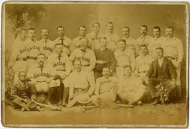 The Chicago White Stockings