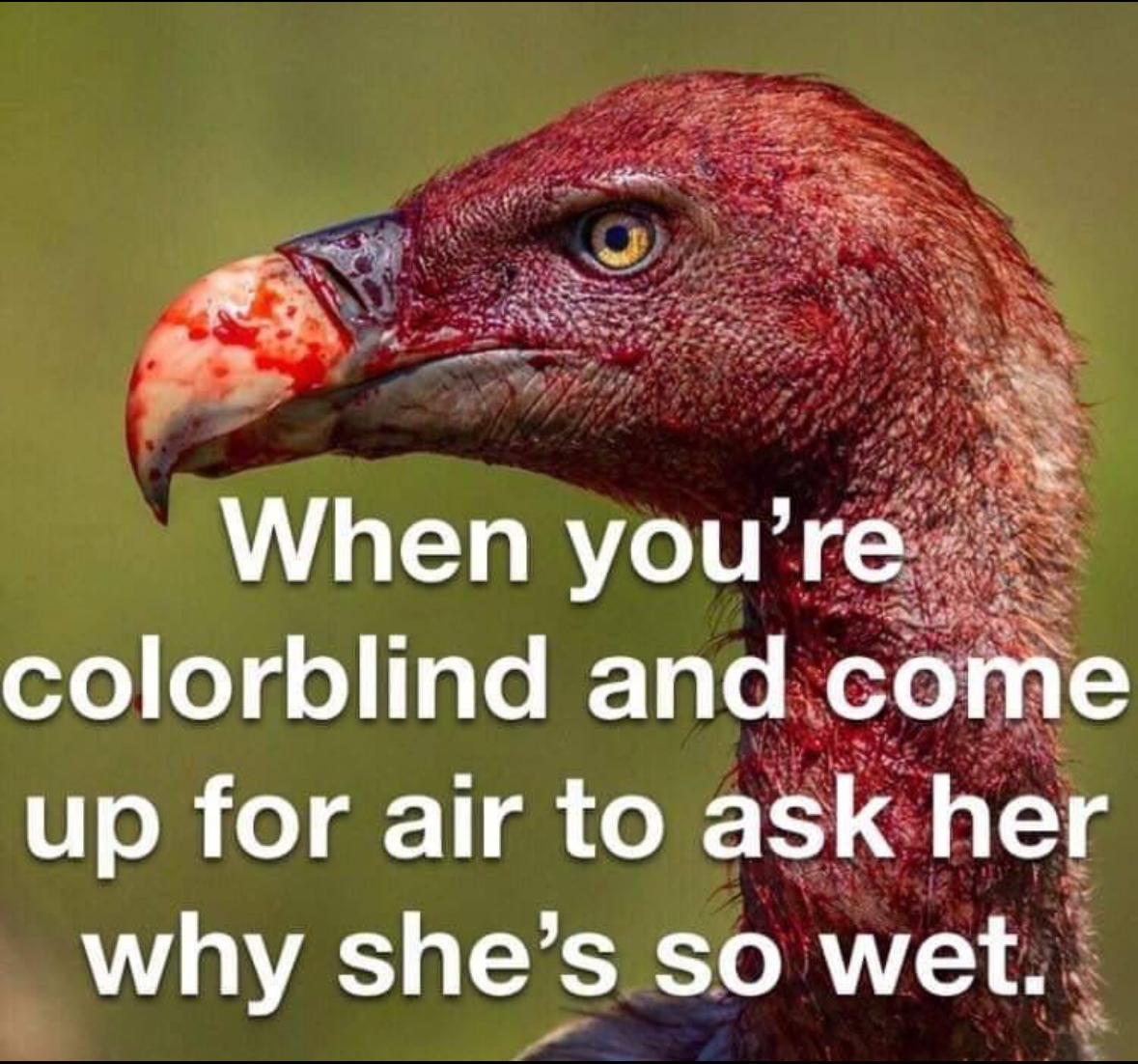 20 Spicy Memes You Really Shouldn't Open at Work