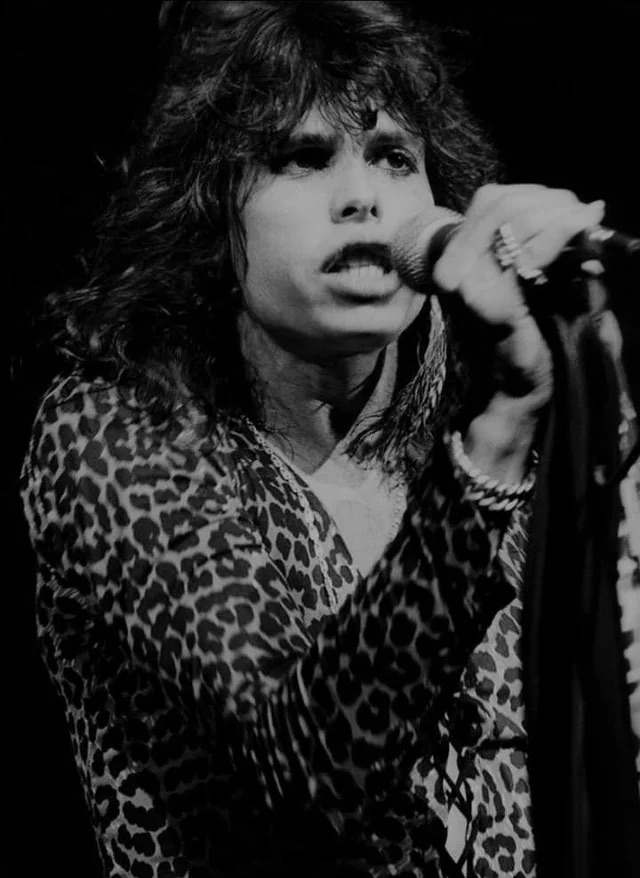 Steven Tyler Live in 1976