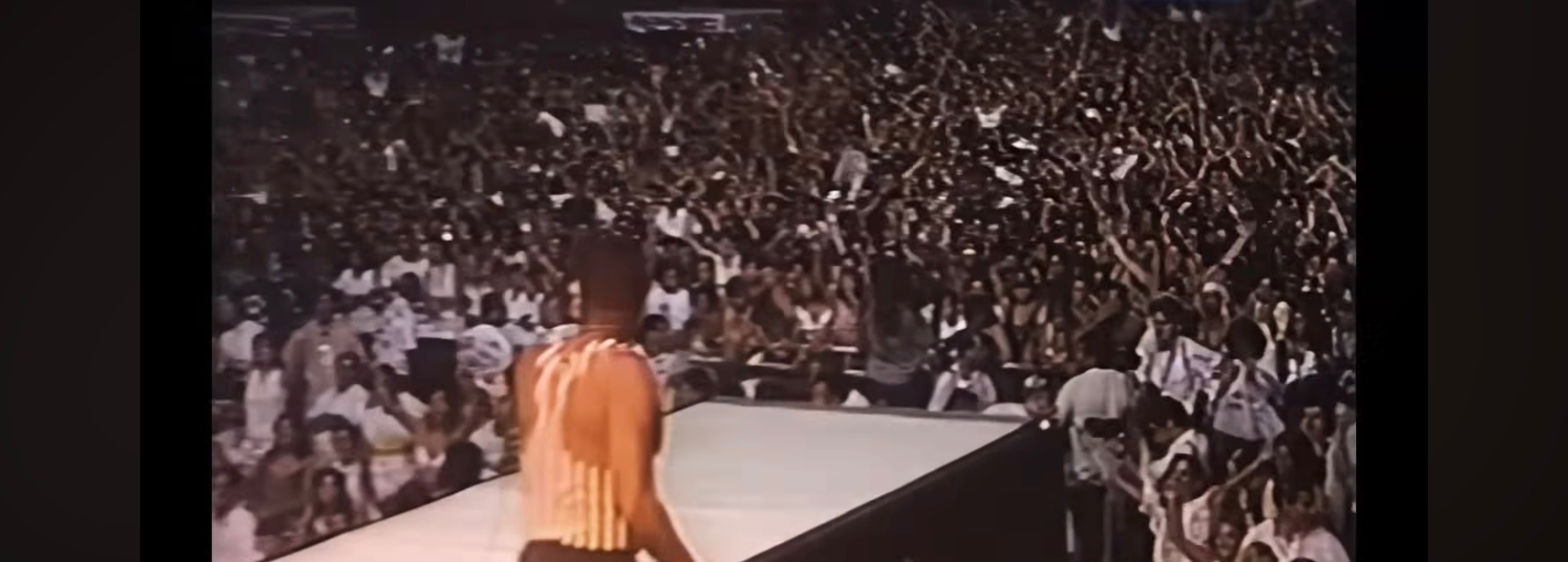 A Backup Singer and Dancer In Front of the Crowd