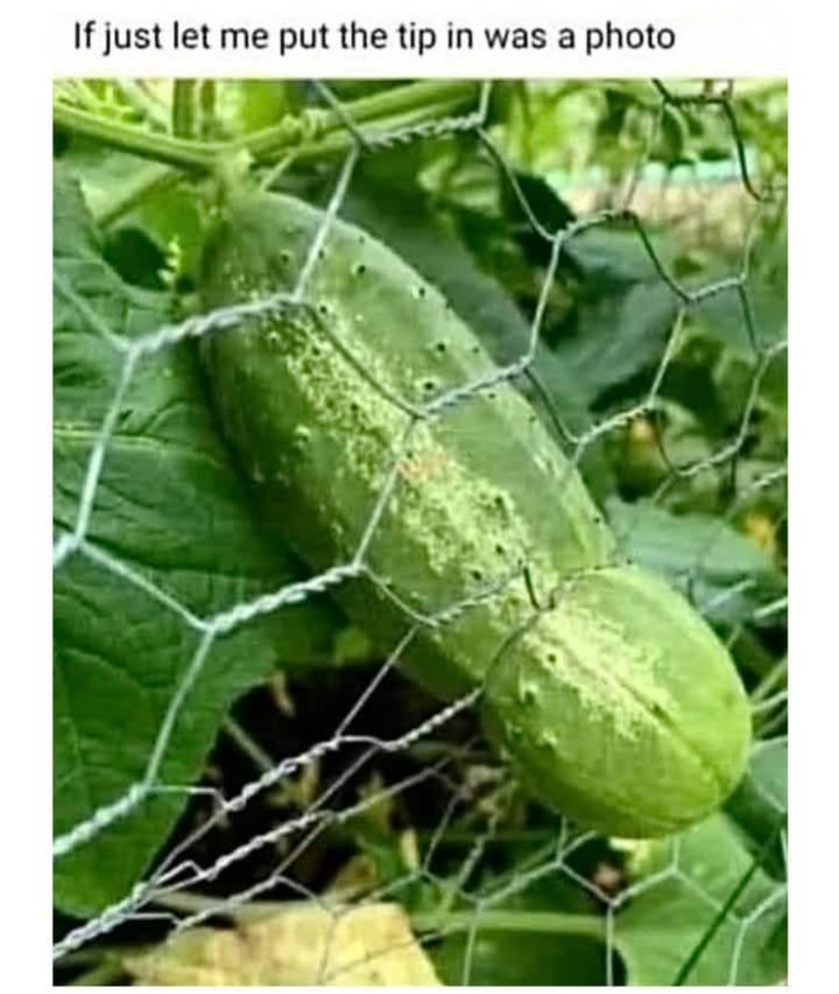 20 Unhinged Horny Memes That Know Too Much