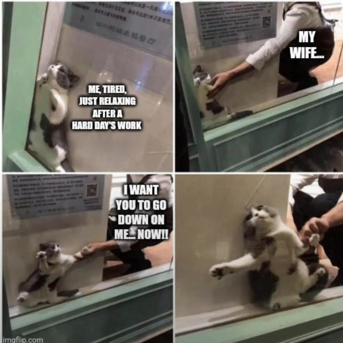 20 Unhinged Horny Memes That Know Too Much