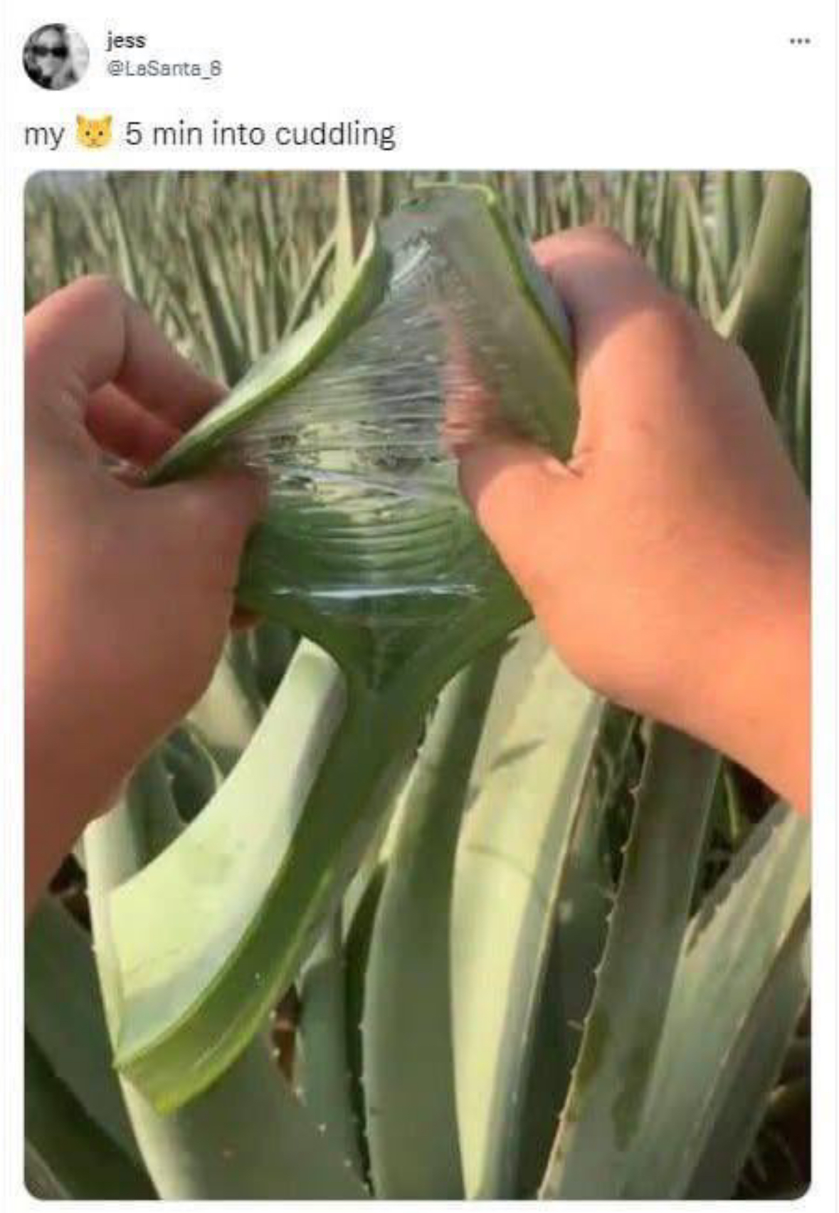 20 Spicy Memes That Just Made Eye Contact With You