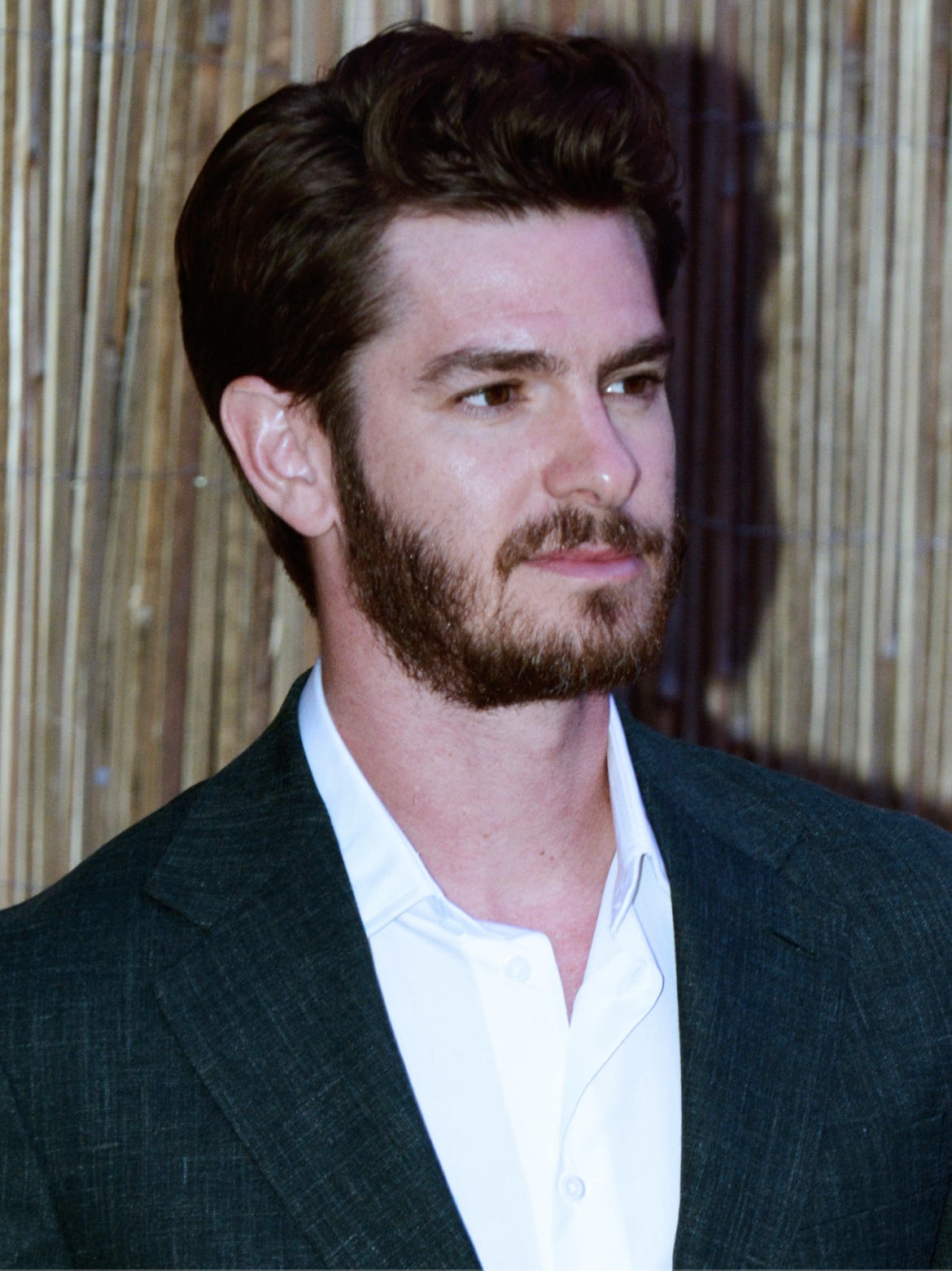 Andrew Garfield