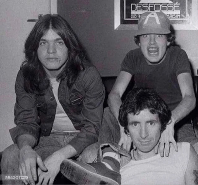 "We love this new guy!"