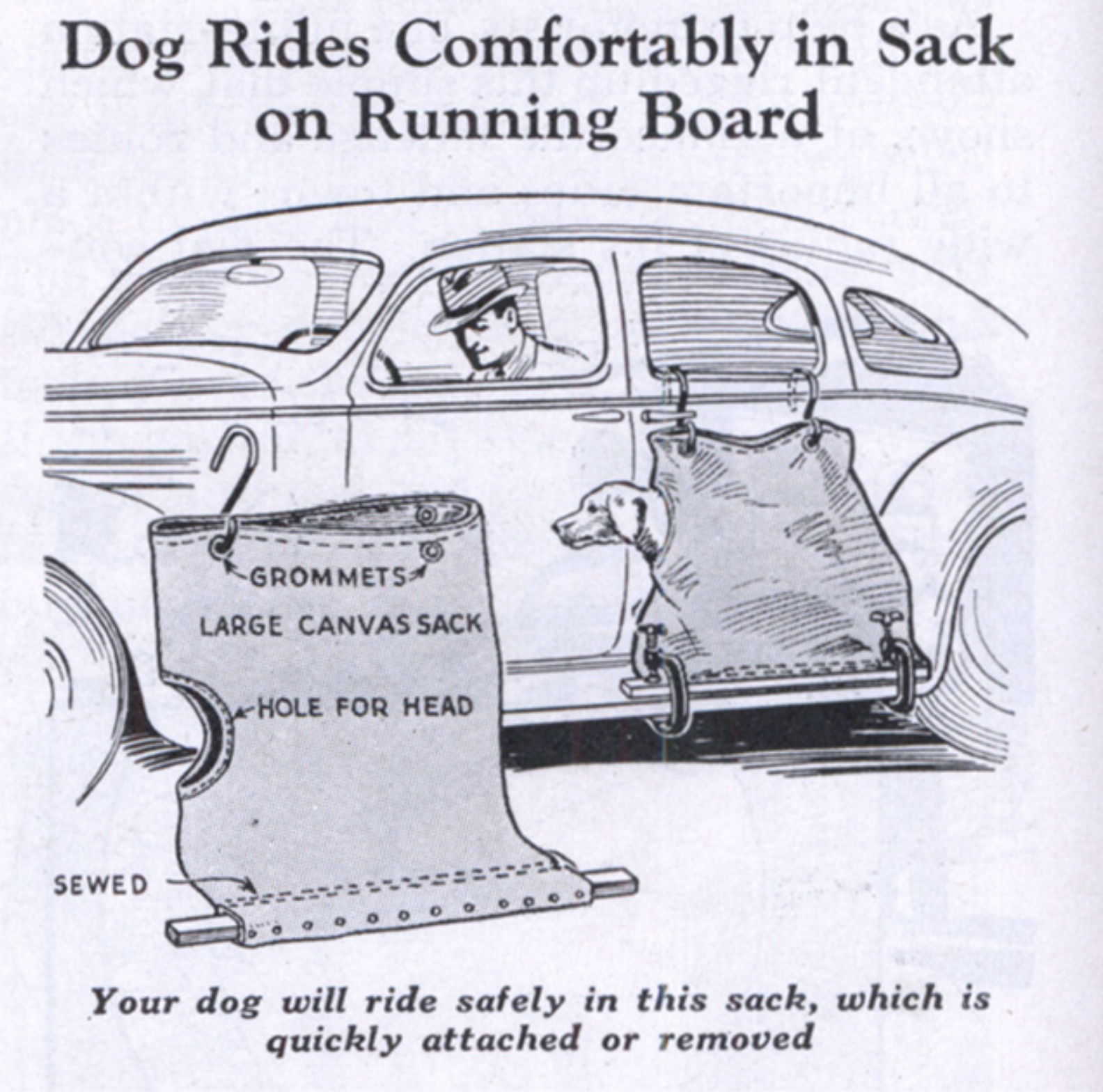 Dog Sack