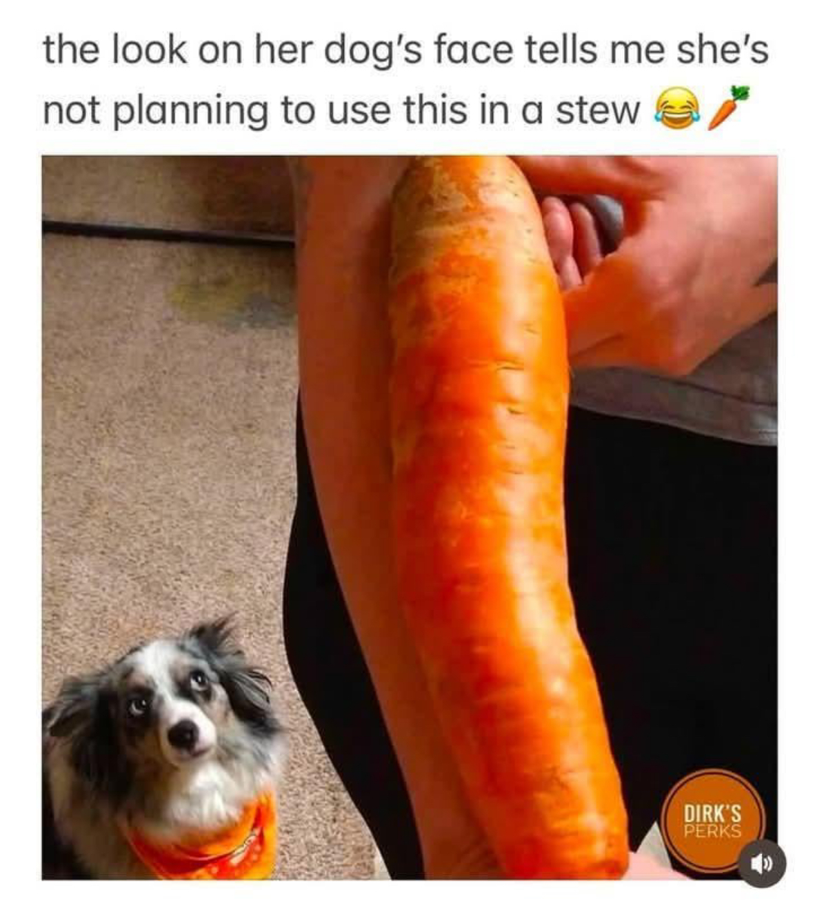 20 Horny Food Memes That'll Make You Moan and Groan