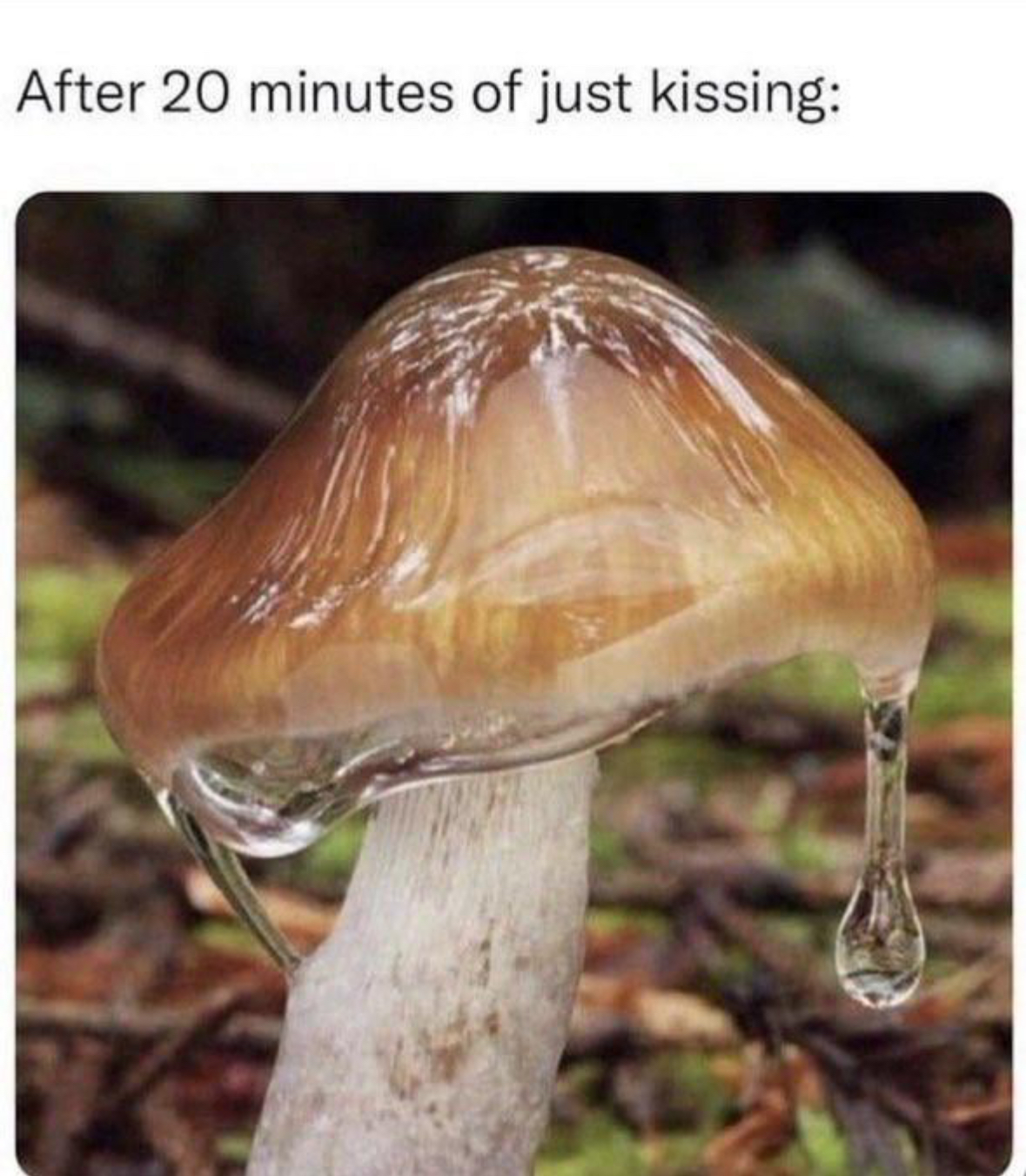 20 Horny Food Memes That'll Make You Moan and Groan