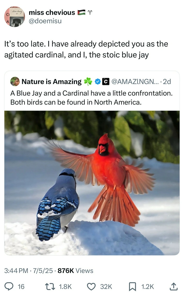 35 Fresh Tweets to Give You Hope