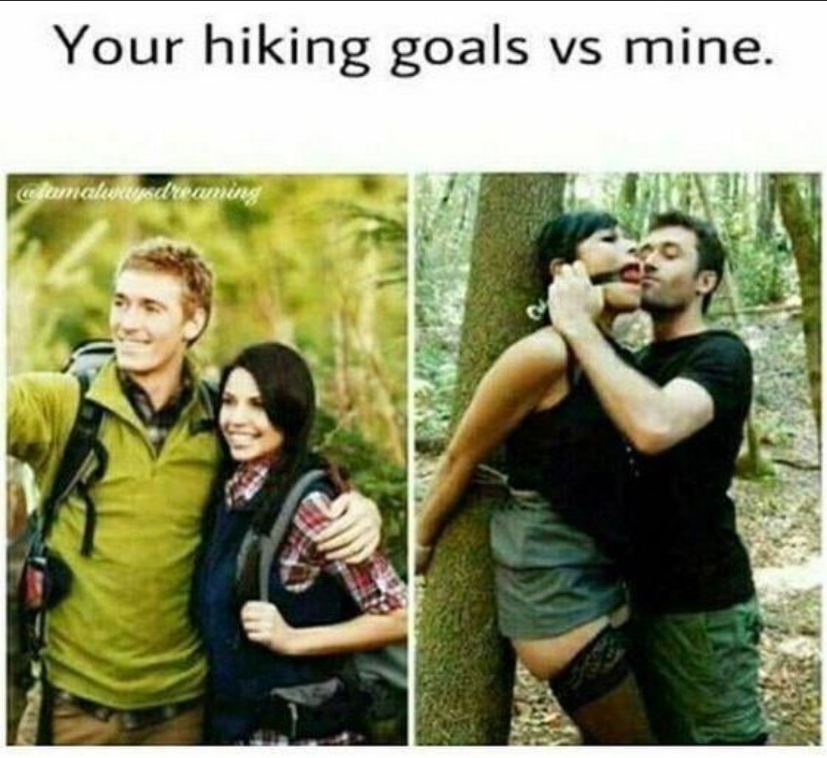 20 Public Sex Memes for Exhibitionists with Zero Chill