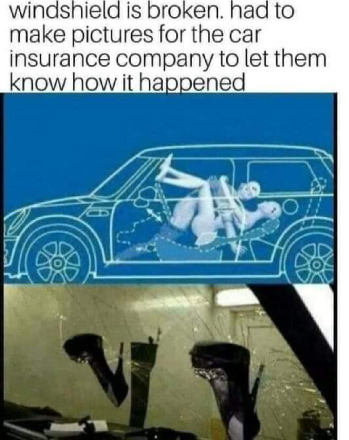 20 Public Sex Memes for Exhibitionists with Zero Chill