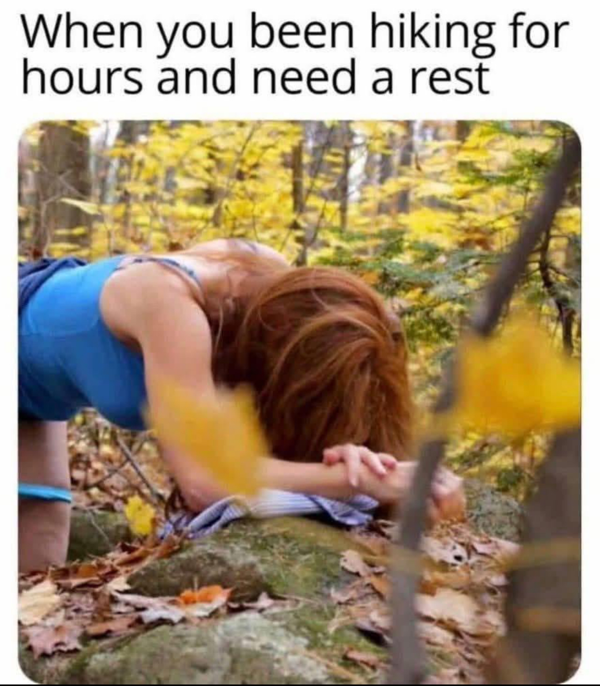 20 Public Sex Memes for Exhibitionists with Zero Chill