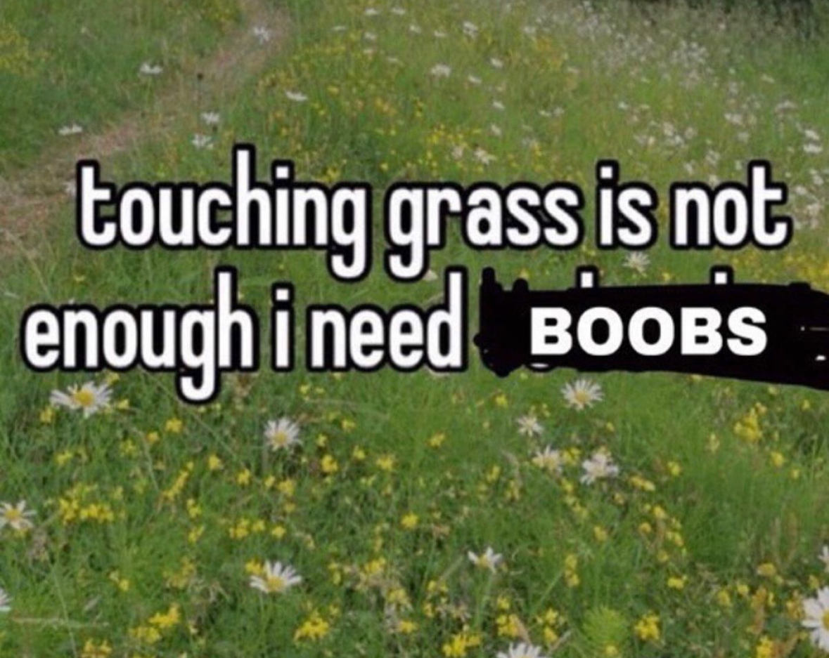 20 Public Sex Memes for Exhibitionists with Zero Chill