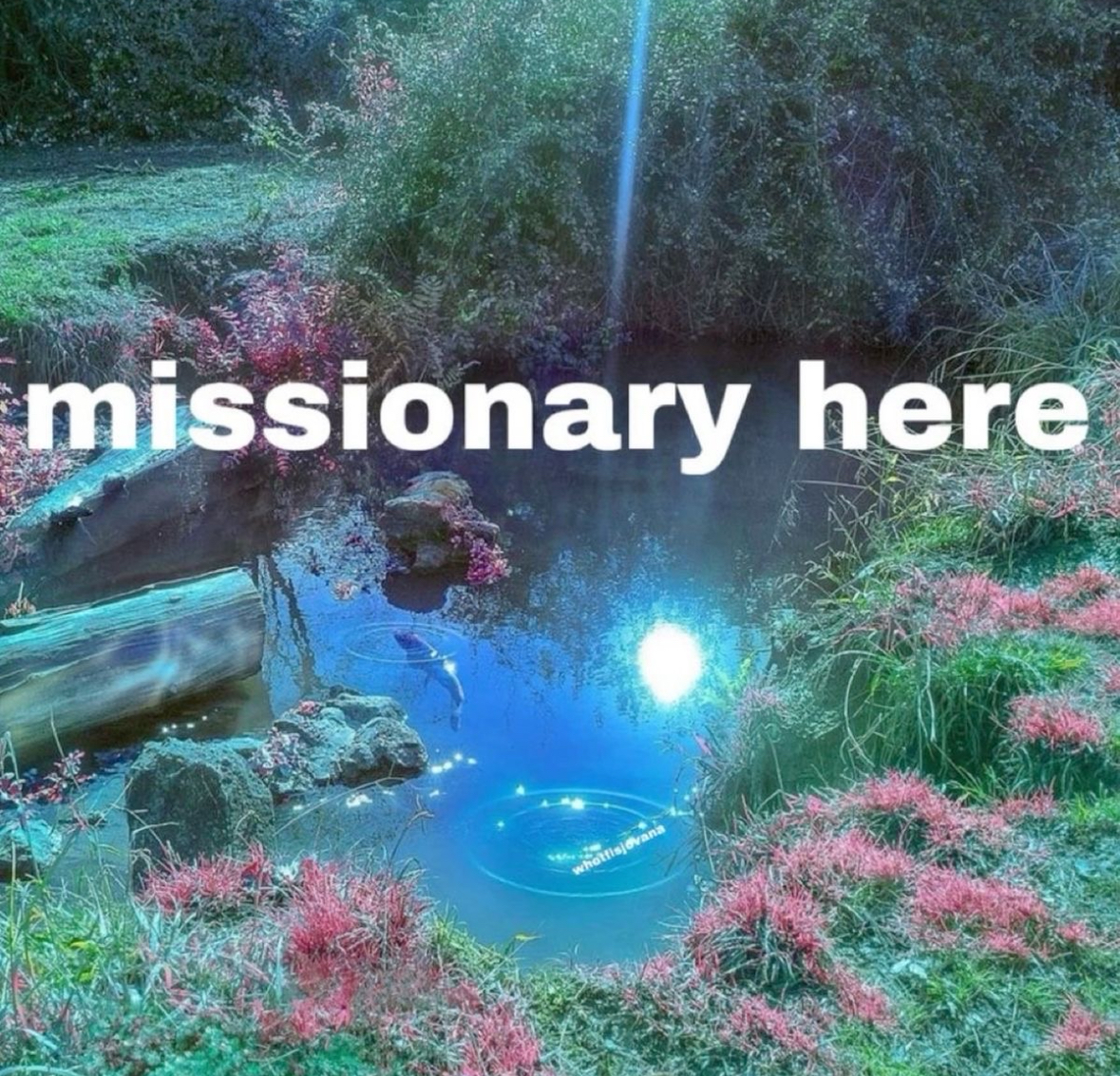 20 Public Sex Memes for Exhibitionists with Zero Chill