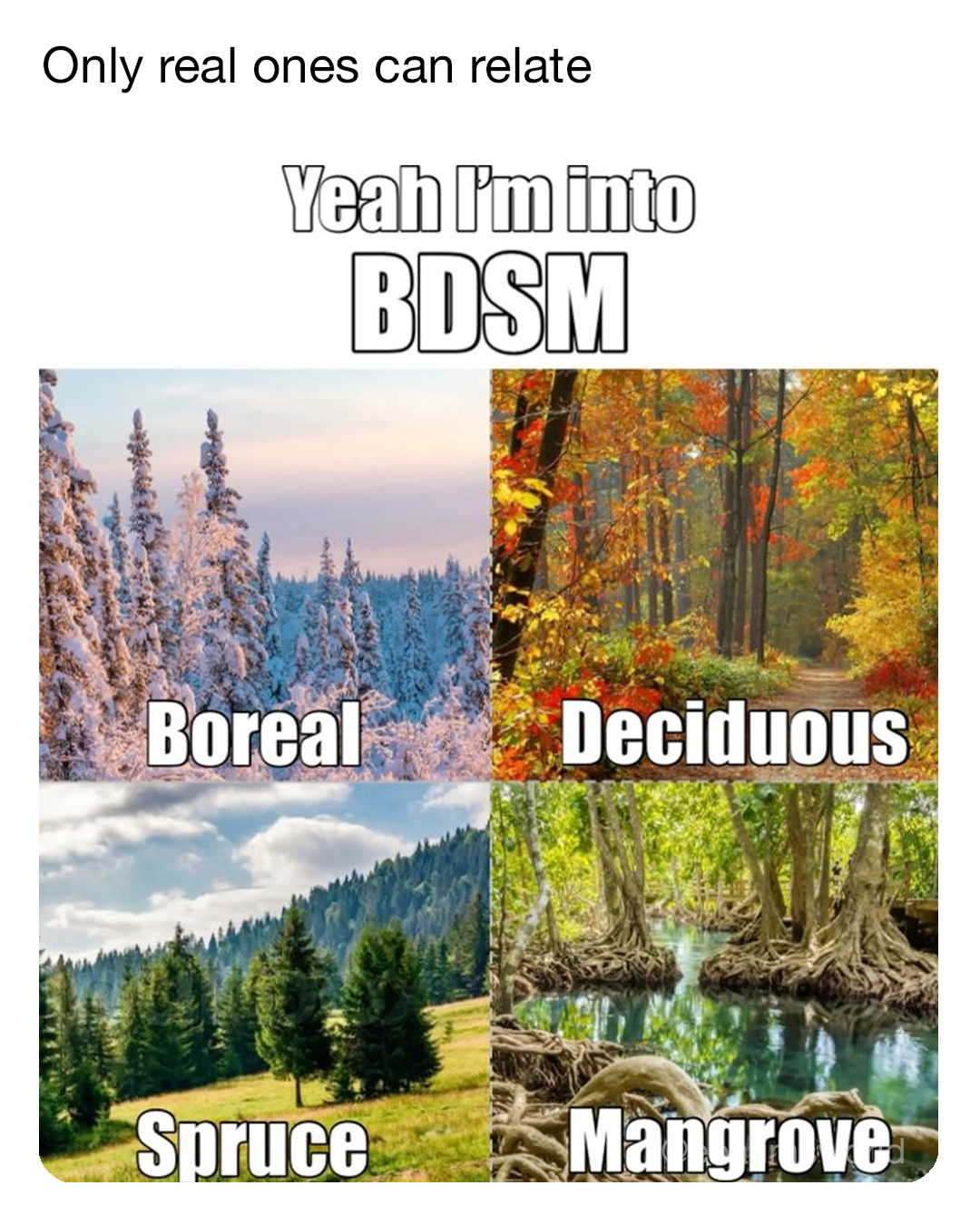 25 Fresh Tweets to Round Out the Week 