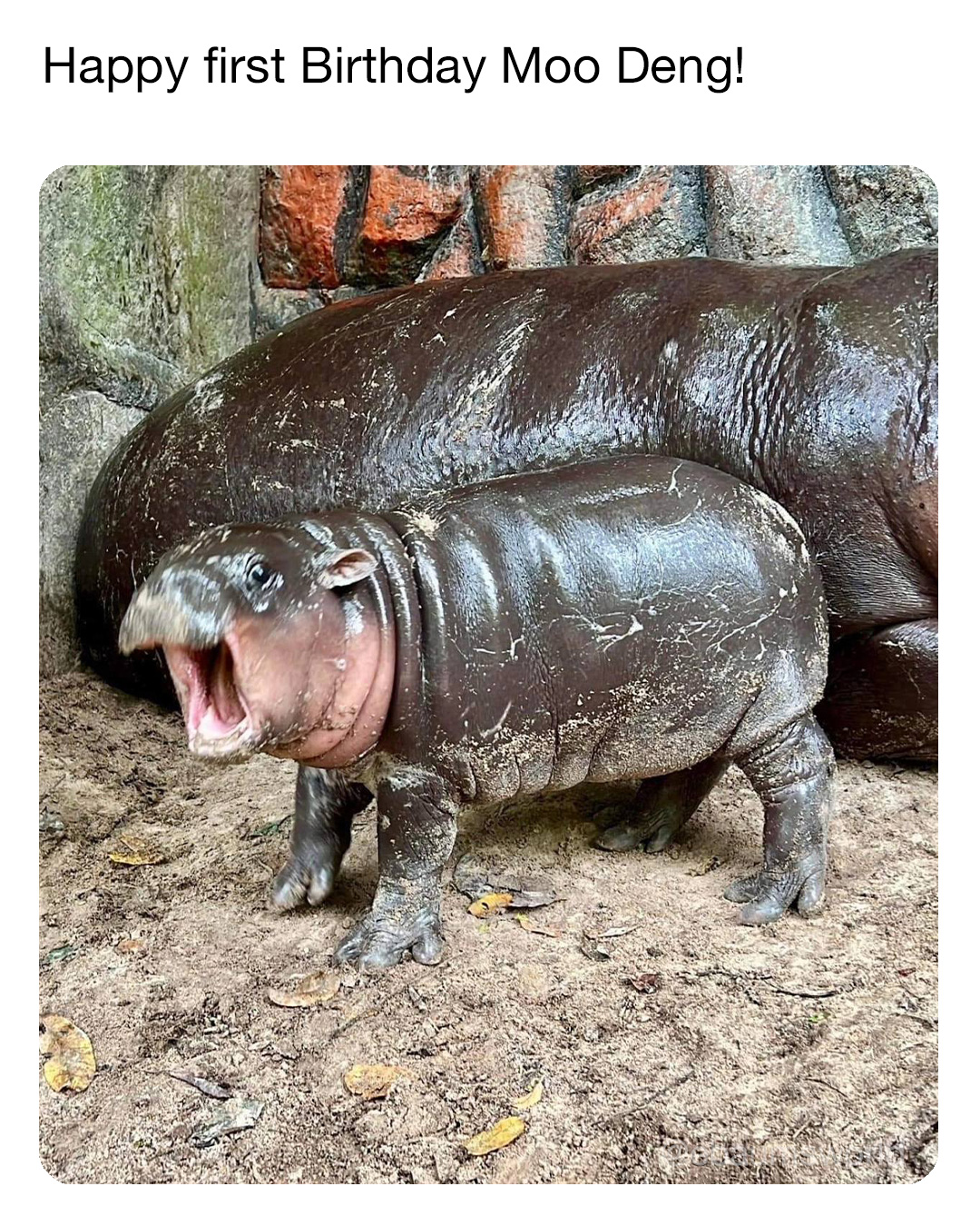 25 Fresh Tweets to Round Out the Week 