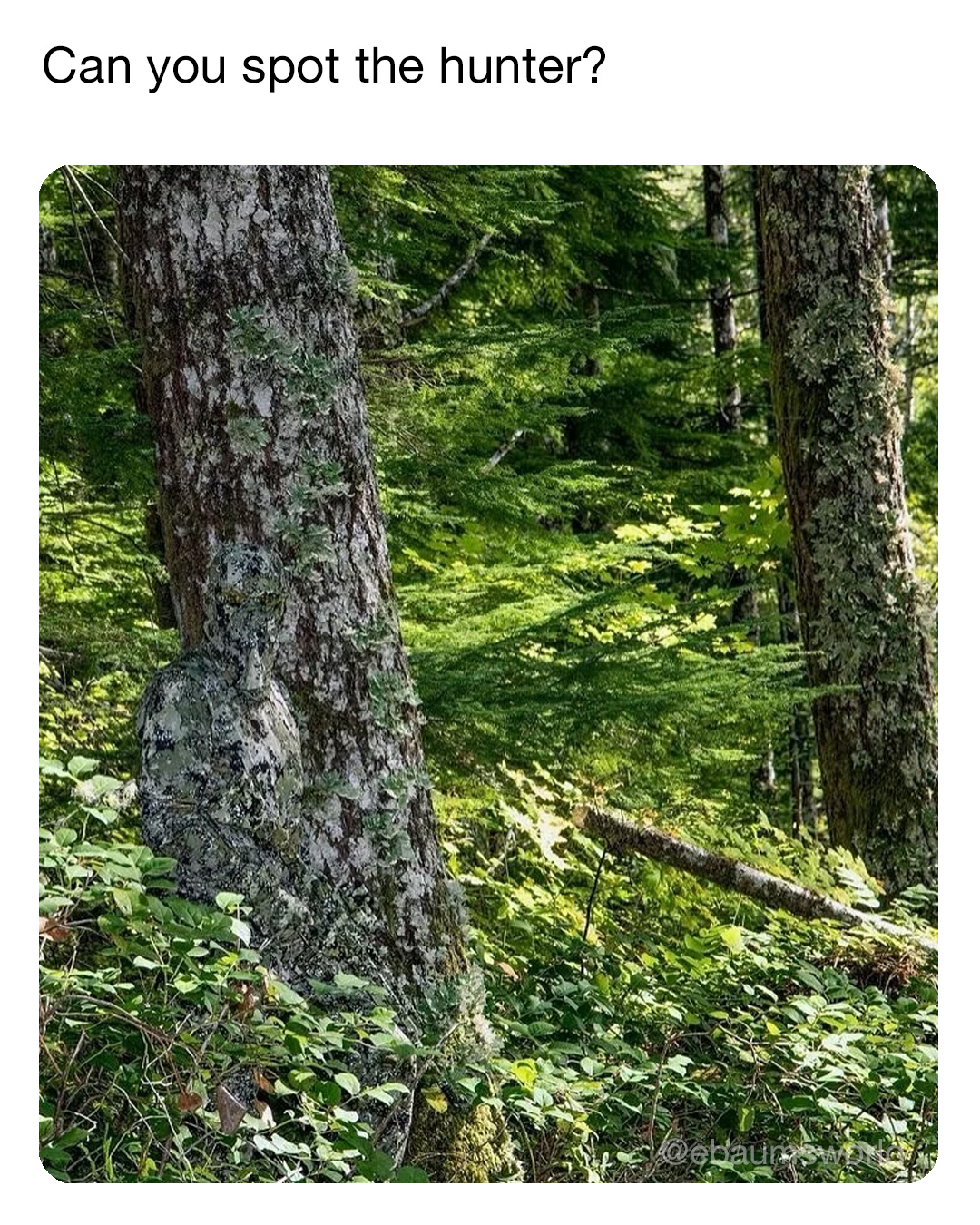 25 Fresh Tweets to Round Out the Week 