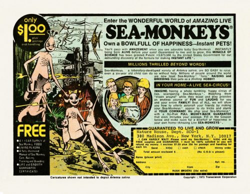 Sea Monkeys