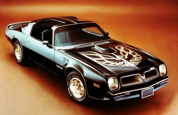 1976 Pontiac Firebird Trans AM (Special Edition)