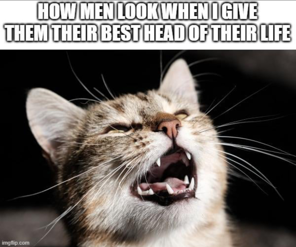 20 Random Spicy Memes That Were Built for Instant Regret