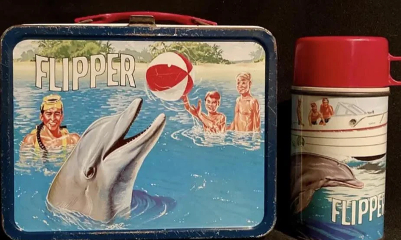#20: Lunch with the Dolphin Who’s Just Too Nice