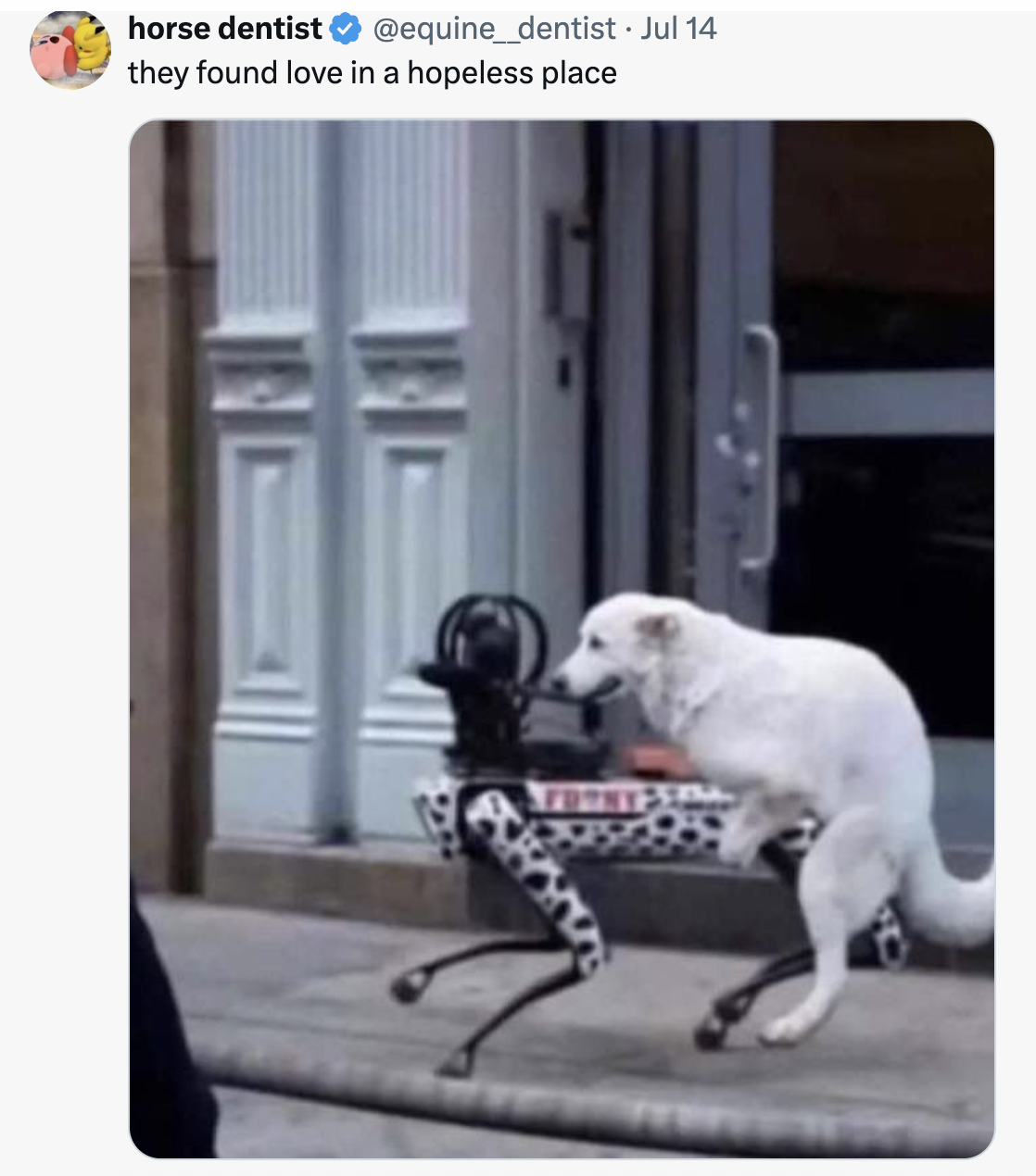 32 Funny Tweets to Help Pass the Time 