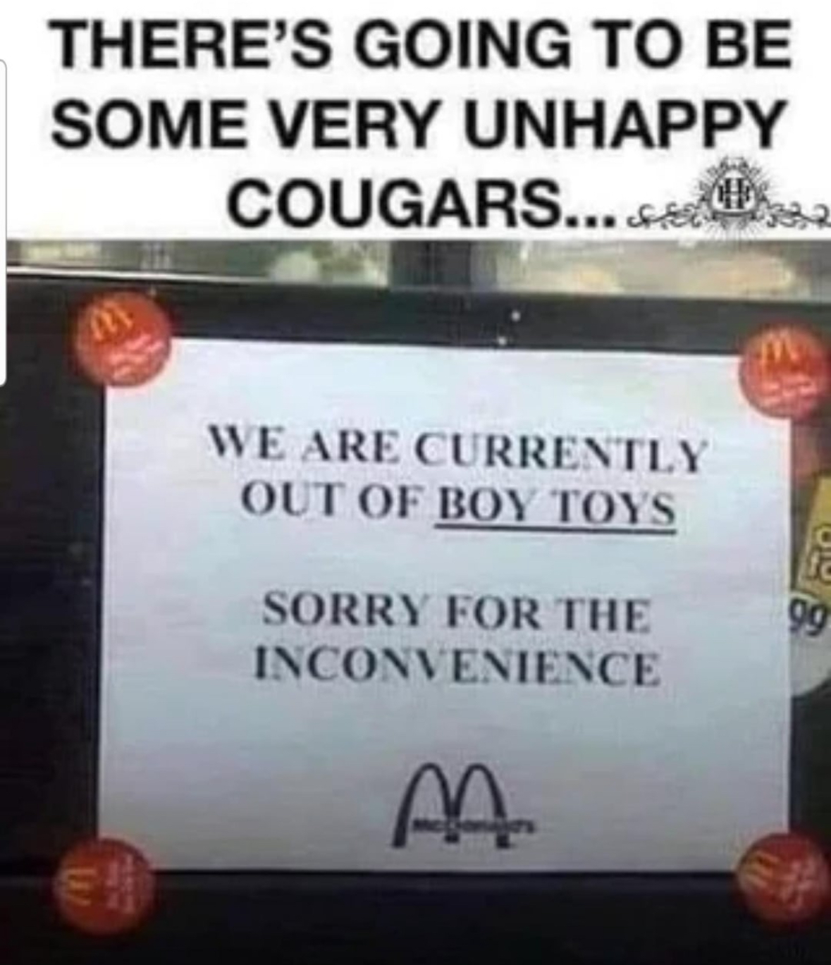 20 Random & Kinky Memes for the Delightfully Deranged