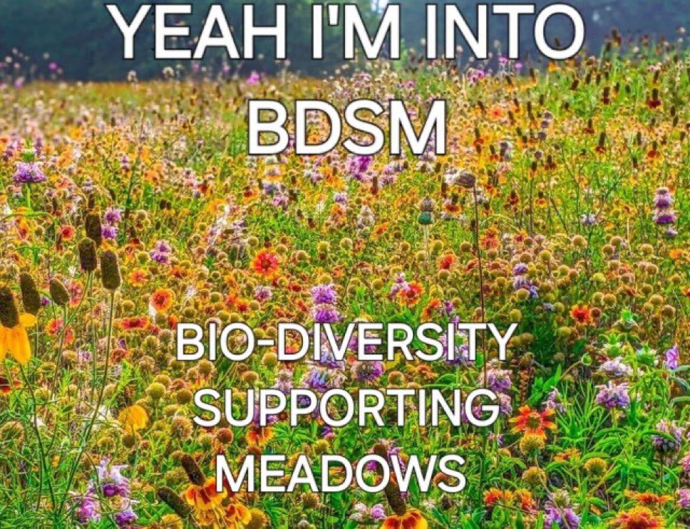 20 Random & Kinky Memes for the Delightfully Deranged