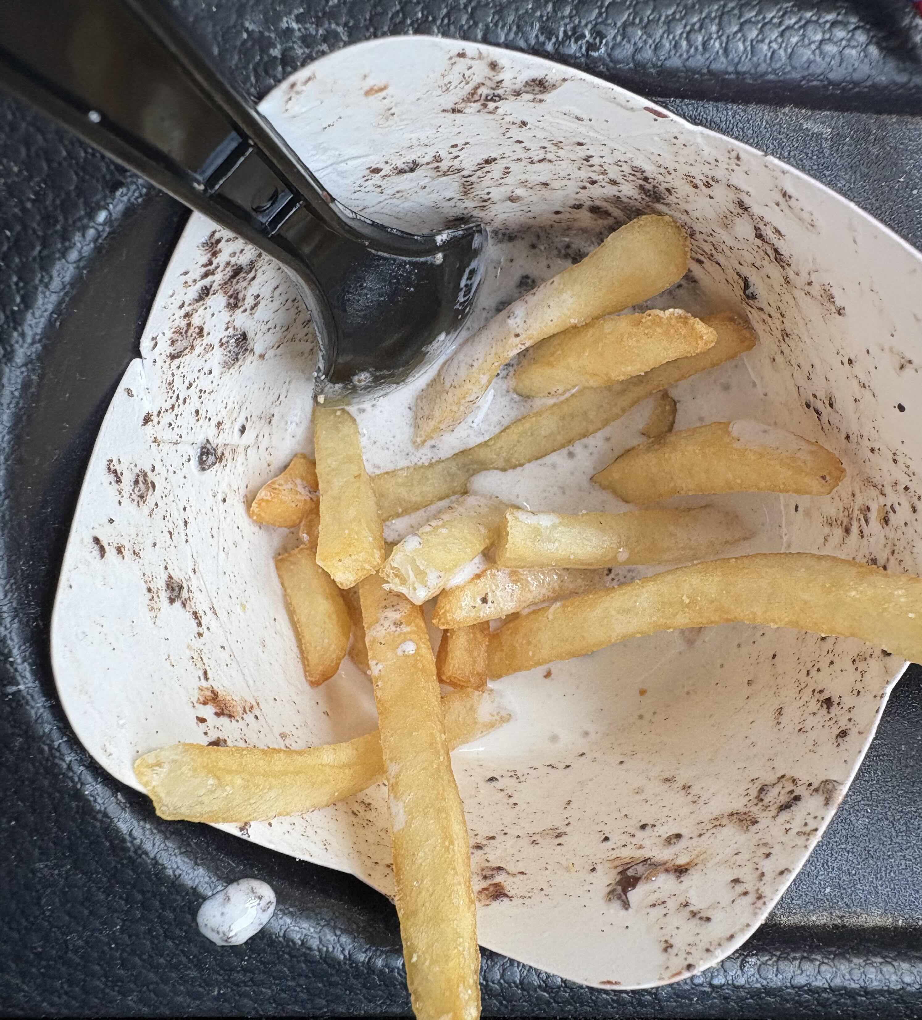 French fries in milkshake.