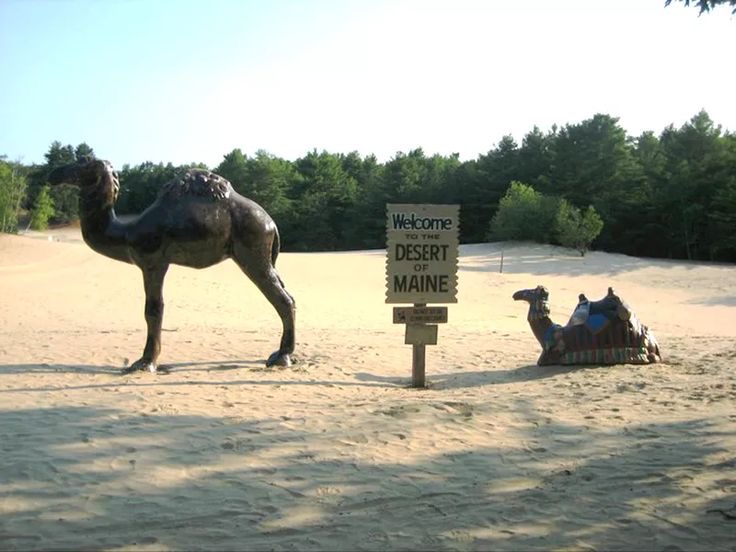 Desert of Maine – Maine, USA