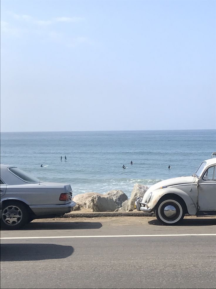 Where the Ocean Feels Alive