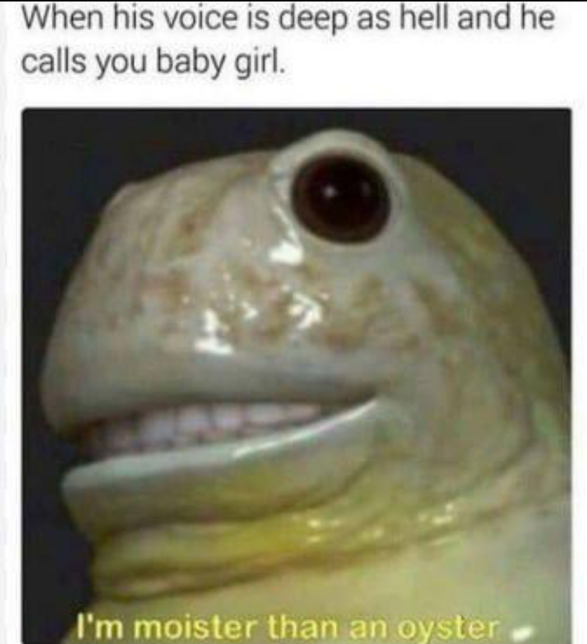 20 Spicy Memes That Pop Up Where You Least Expect Them