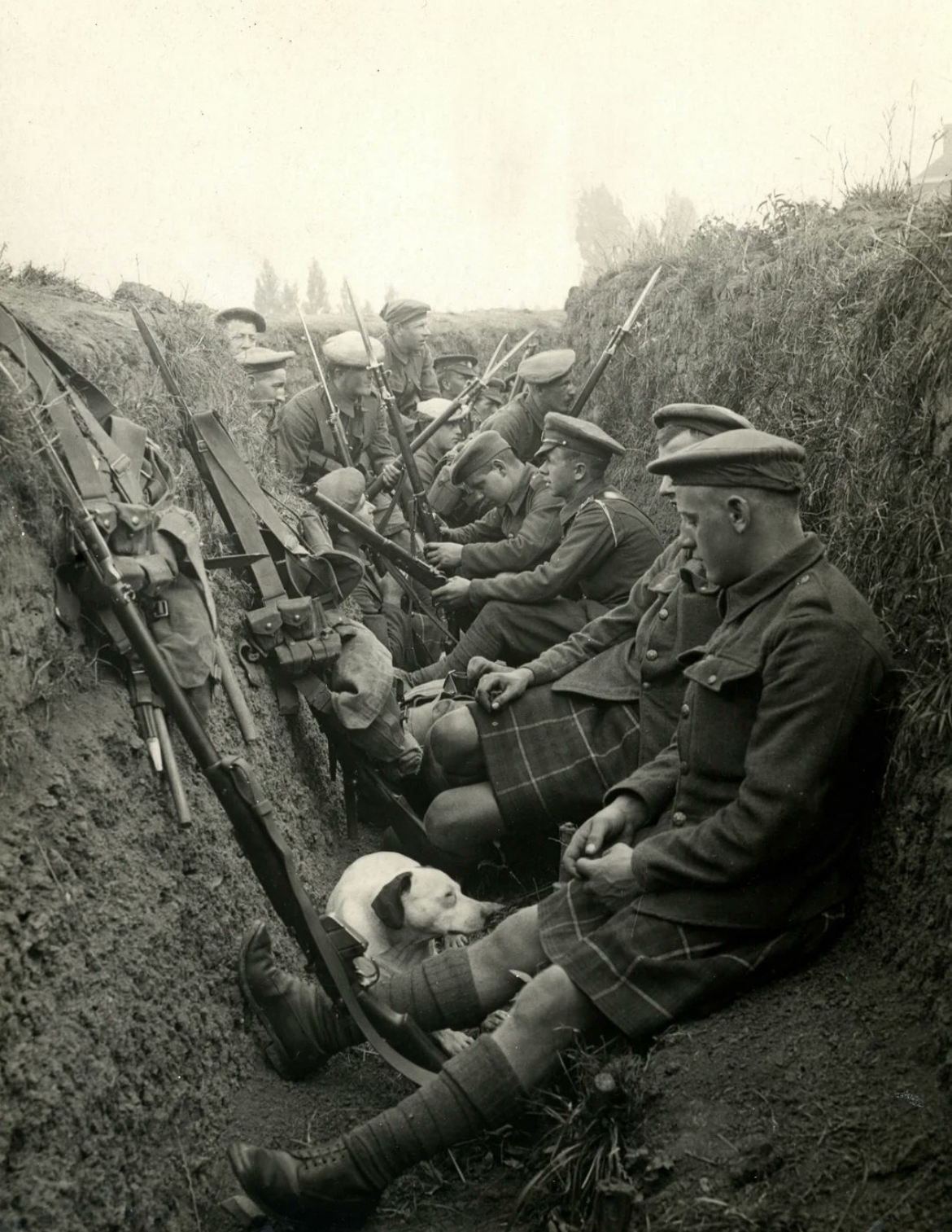 Mud, Men, and Madness