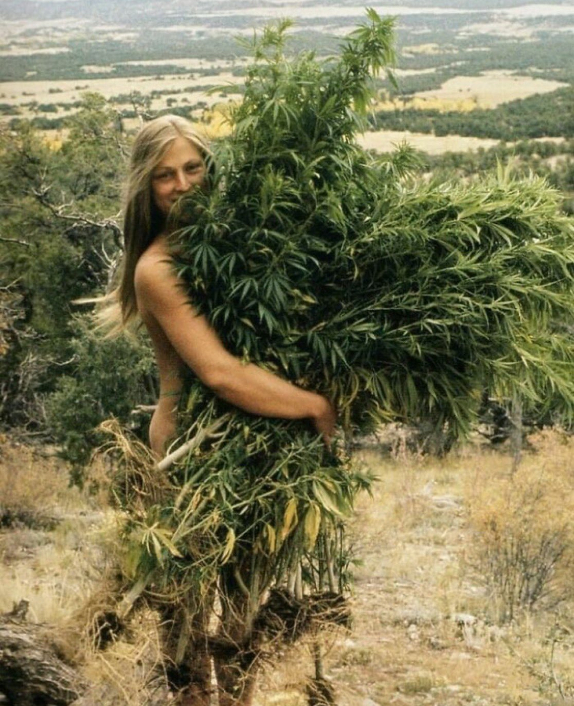 Flower Power Meets Camouflage