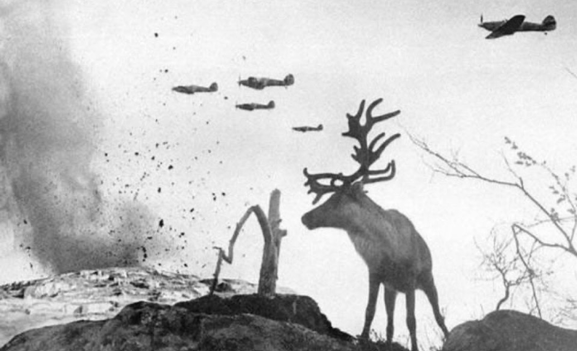 Even the Reindeer Were Terrified