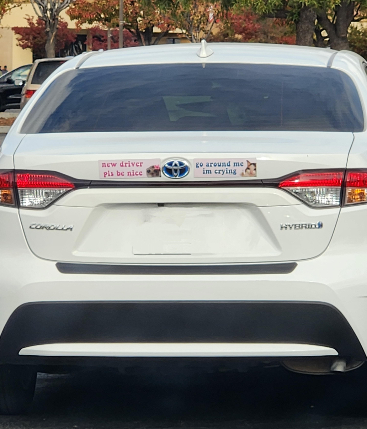 Be gentle, this car still believes in kindness.