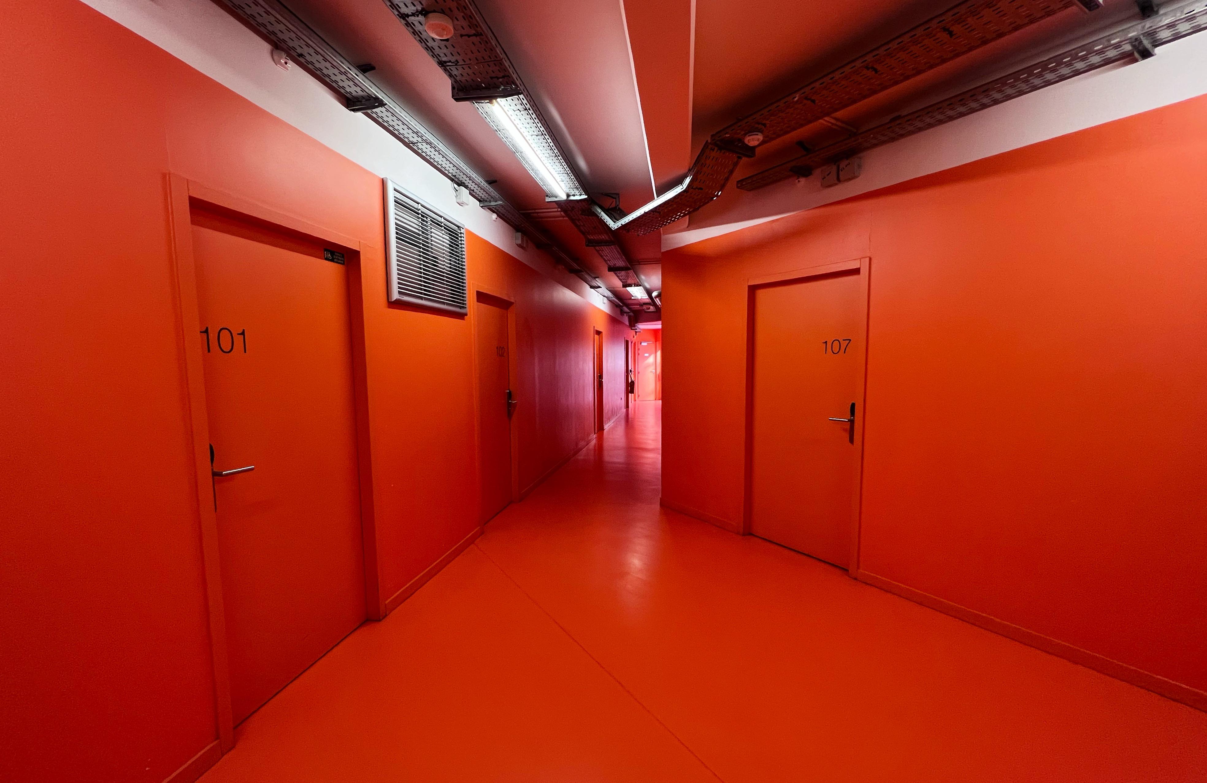 Backroom energy in vivid red