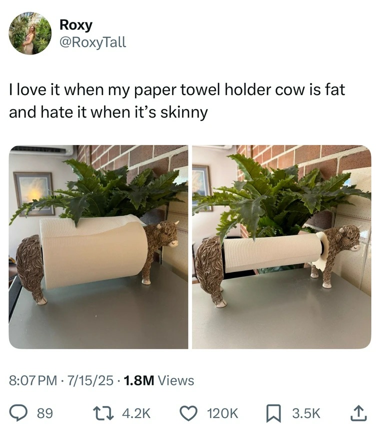 25 Fresh and Funny Tweets to Make Your Day