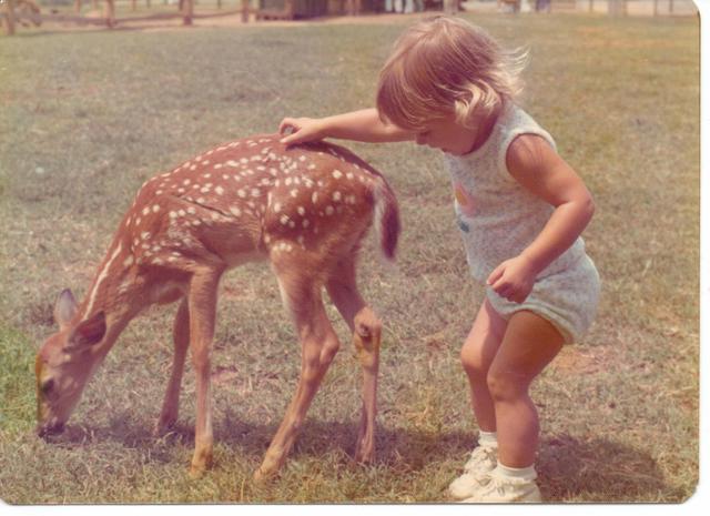 An endless sumer everyday.