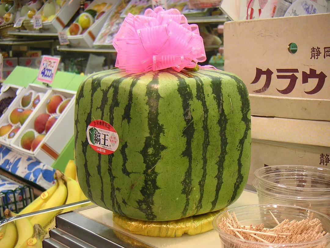Japan has square watermelons