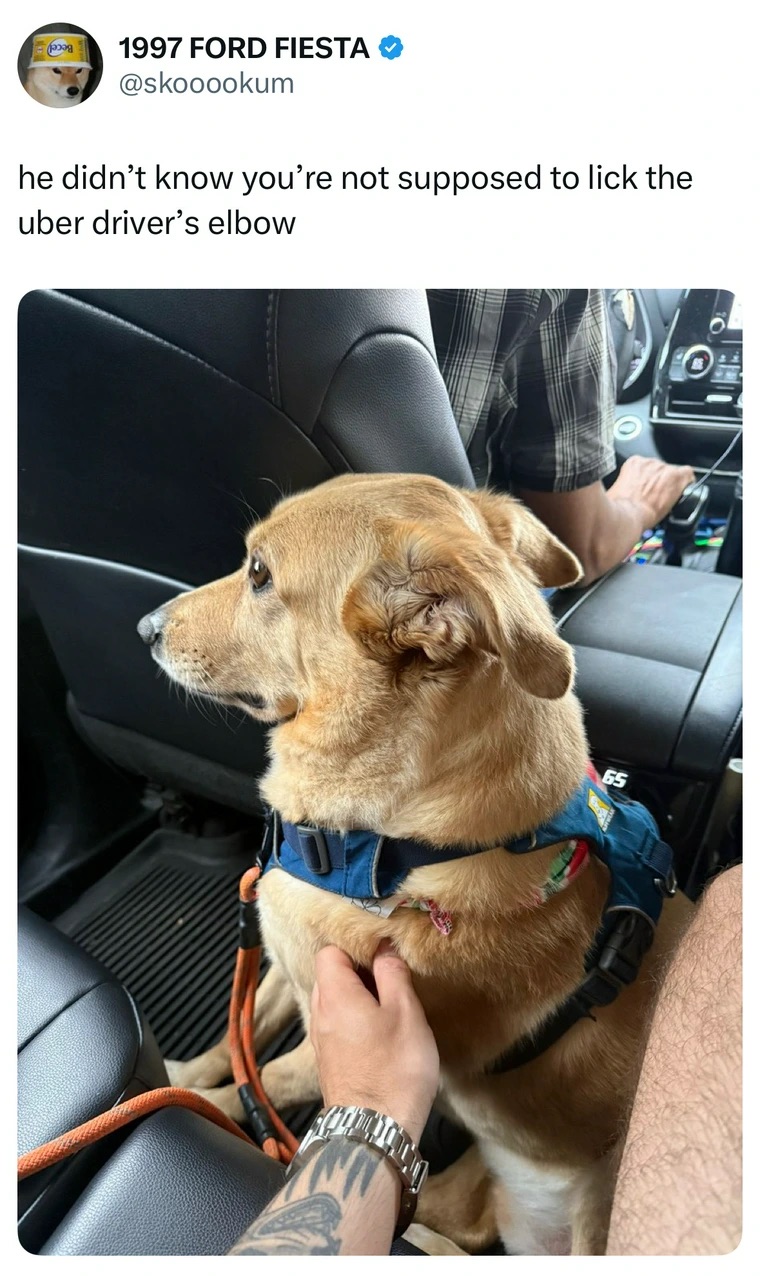 32 Funny Tweets to Help You Over the Hump