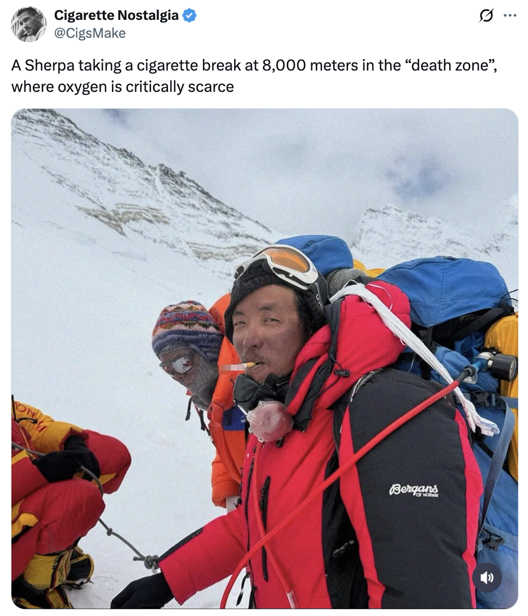 32 Funny Tweets to Help You Over the Hump