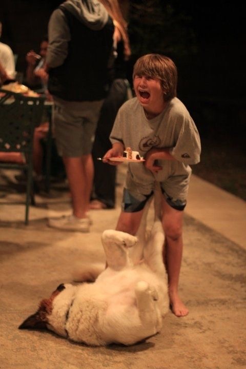 Right in the Puppy Punchlines