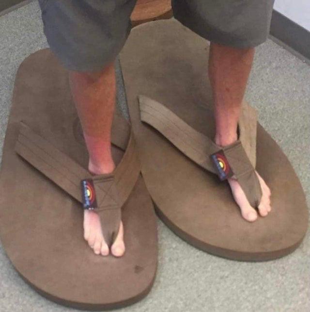 Has anyone seen my shoes?