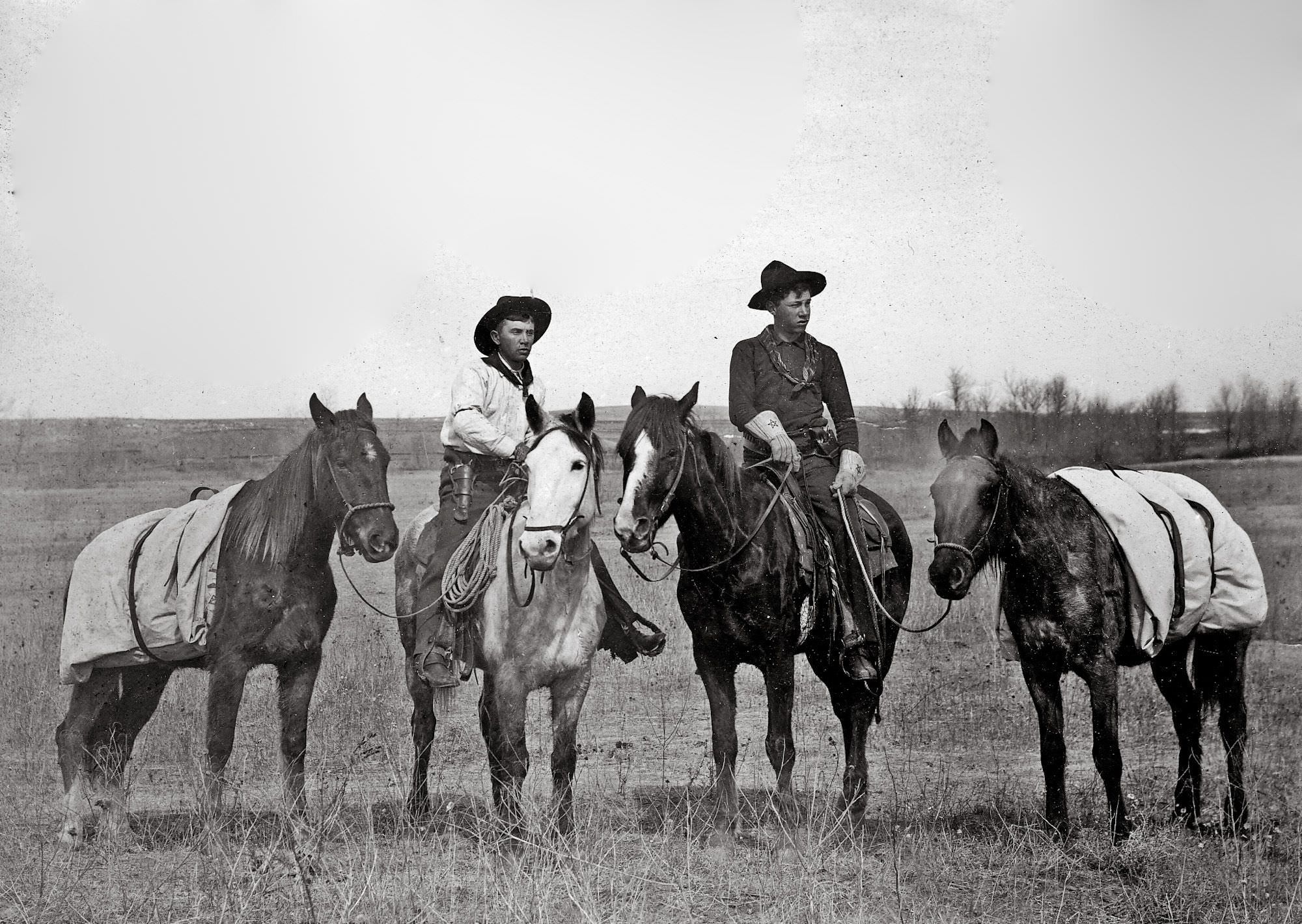 Packhorses