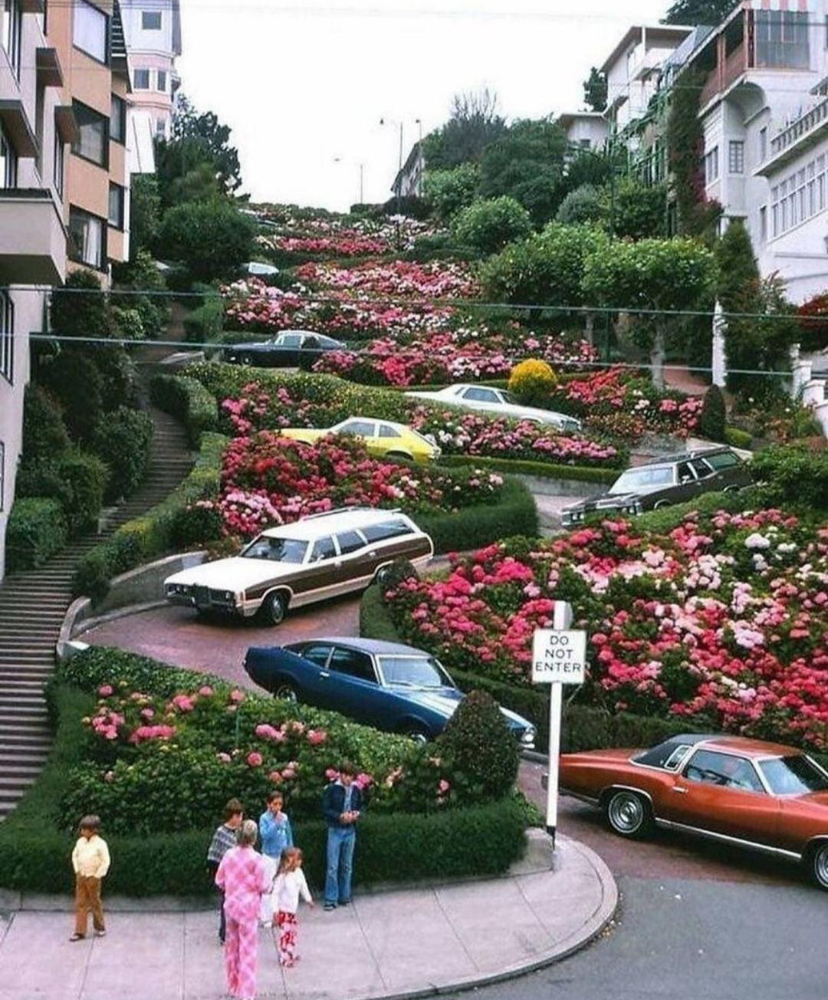 Lombard Street Traffic Jam, But Make It Scenic
