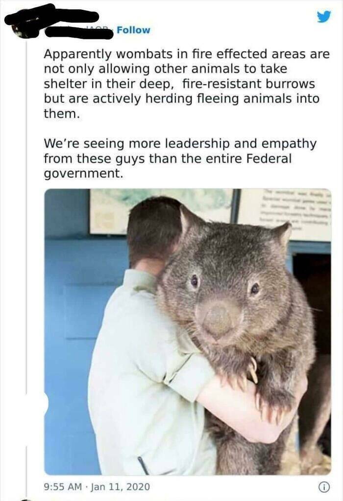 33 Extra-Large Versions of Normal Things, To Scale