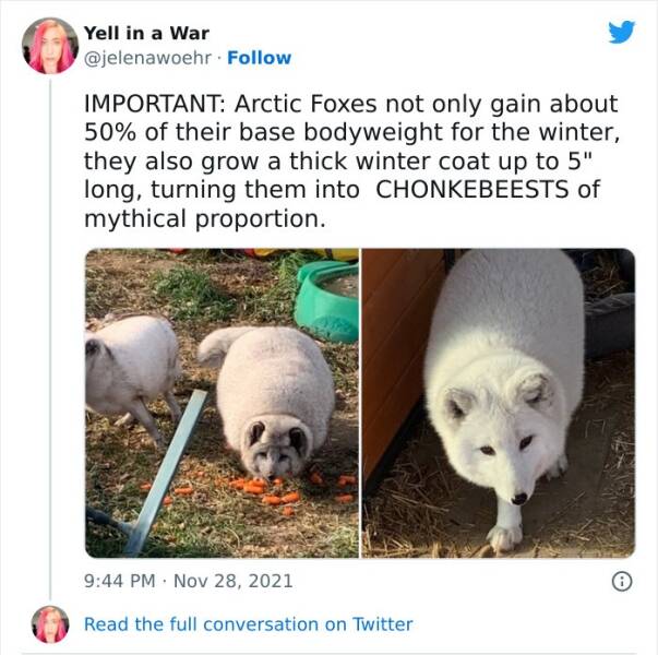 33 Extra-Large Versions of Normal Things, To Scale