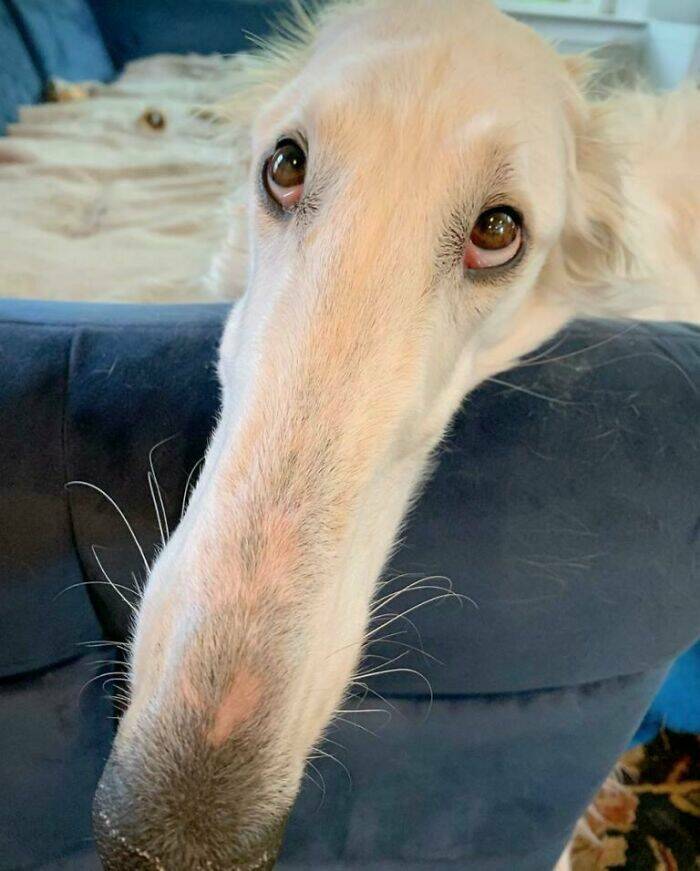 33 Extra-Large Versions of Normal Things, To Scale