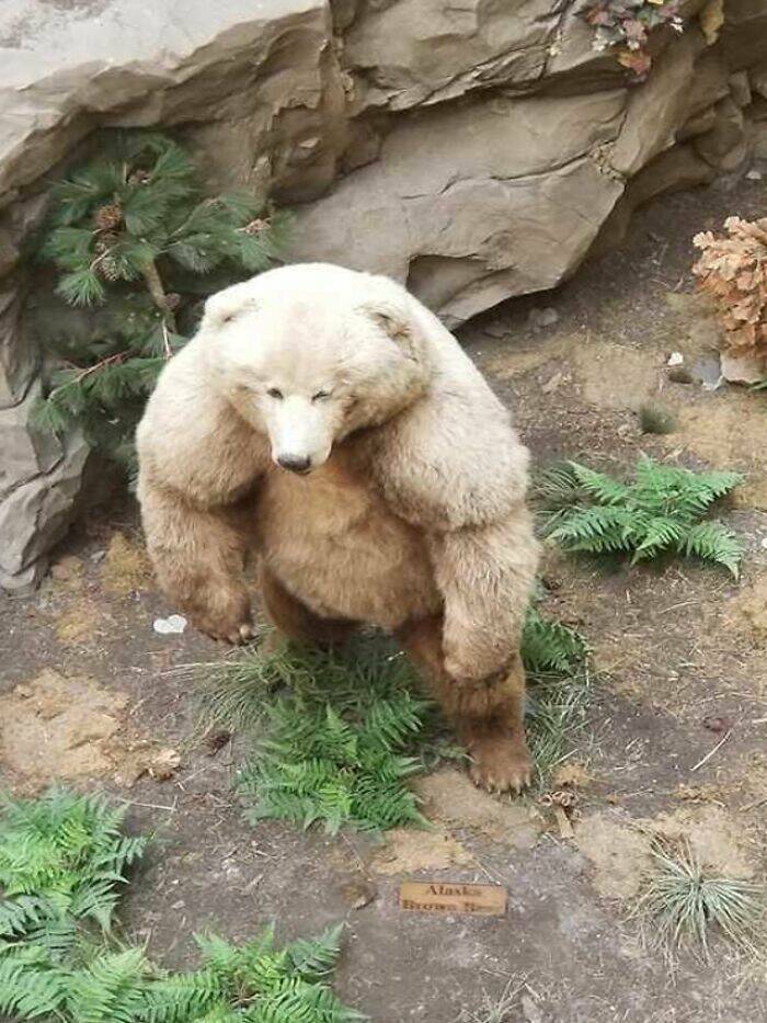 33 Extra-Large Versions of Normal Things, To Scale